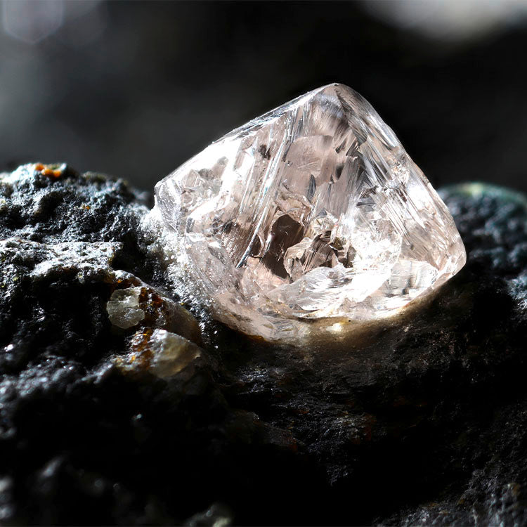 Barrys Juwelier - Maple Leaf Diamonds™ - konfliktfrei, nachhaltig & zertifiziert