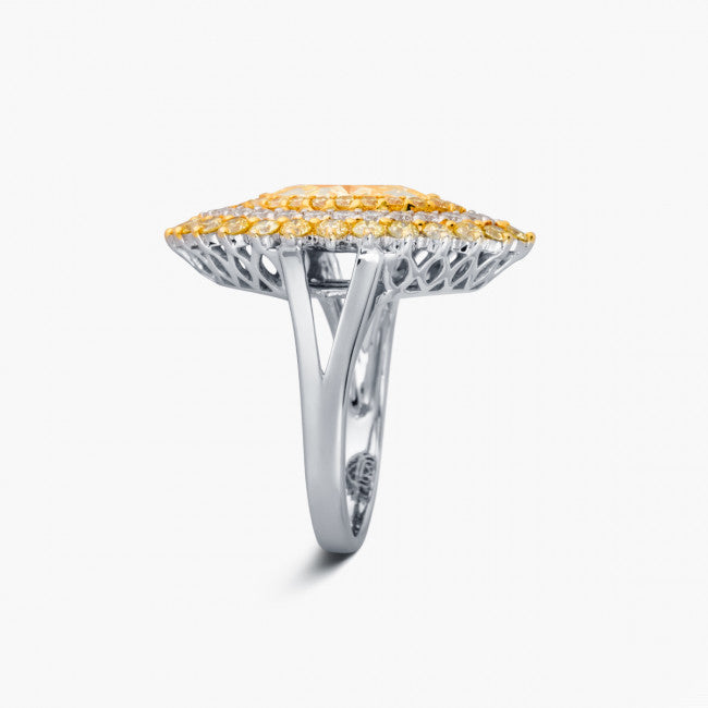 Barrys Juwelier - Maple Leaf Diamonds™ - konfliktfrei, nachhaltig & zertifiziert