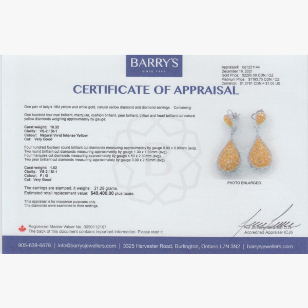 Fancy Yellow Earrings Zertifikat